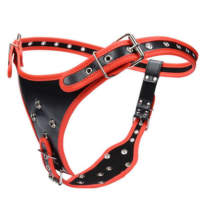 Sex toys  dubaiWearableStrap-onDildowith3RemovableSiliconeDildosforCouple(3 days delivery)toys  men
